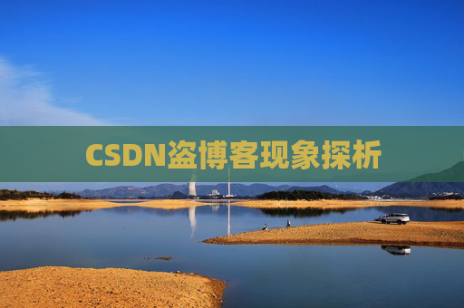 CSDN盗博客现象探析